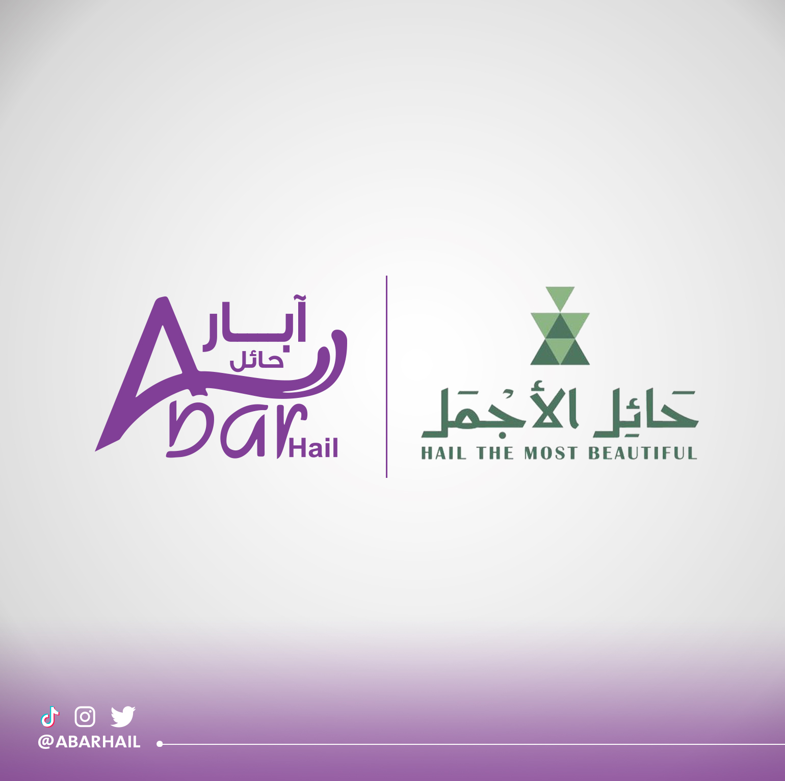 Read more about the article مبادرة حائل الأجمل 15-03-2022